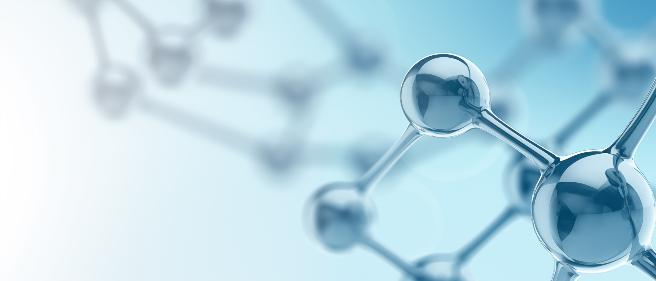 <font color="#000000">RENEW the Future</font>